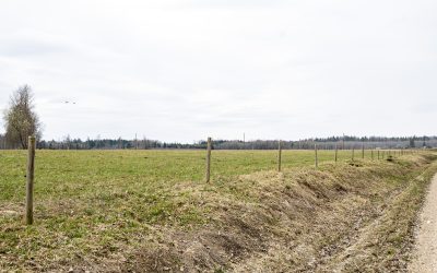 Pārdod zemi pie Āsteres ezera, Limbažu novadā — € 19 600