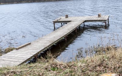 Pārdod zemi 1,38 ha pie Āsteres ezera (Mākoņkalni)