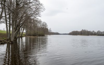 Pārdod zemi Āsteres ezera krastā — € 34 900