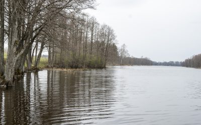 Pārdod ekskluzīvu īpašumu Āsteres ezera krastā, Limbažu novadā