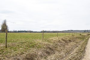 Pārdod zemi pie Āsteres ezera, pie peldvietas — € 27 500 — foto 4