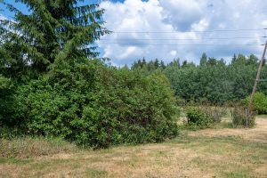 Pārdod zemi 3000 m² Amatā, Drabešu pagastā — foto 1