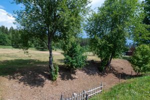 Pārdod zemi 3000 m² Amatā, Drabešu pagastā — foto 2