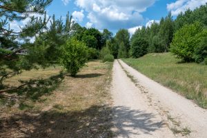 Pārdod zemi 3000 m² Amatā, Drabešu pagastā — foto 9