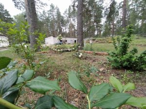 Pārdod zemi 1,9 ha Muceniekos — investīciju objekts — foto 41