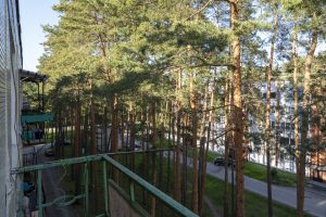 Pārdod 3 istabu dzīvokli Skultē, priežu meža ielokā — foto 10