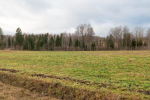 20241220 Malpils 2