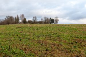 20241220 Malpils 40