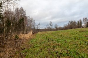 20241220 Malpils 42