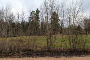 20241220 Malpils 54
