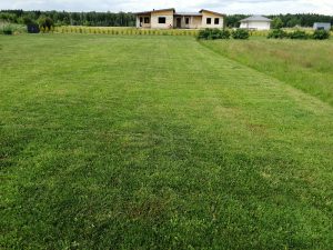 Pārdod zemes gabalu 2500 m² ar dīķi — foto 7