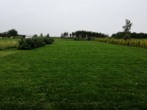 Pārdod zemes gabalu 2500 m² ar dīķi — foto 16