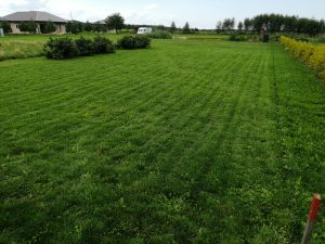 Pārdod zemes gabalu 2500 m² ar dīķi — foto 5