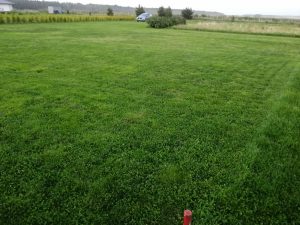 Pārdod zemes gabalu 2500 m² ar dīķi — foto 10