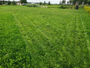 Pārdod zemes gabalu 2500 m² ar dīķi — foto 4
