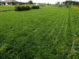 Pārdod zemes gabalu 2500 m² ar dīķi — foto 2