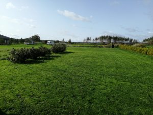 Pārdod zemes gabalu 2500 m² ar dīķi — foto 8